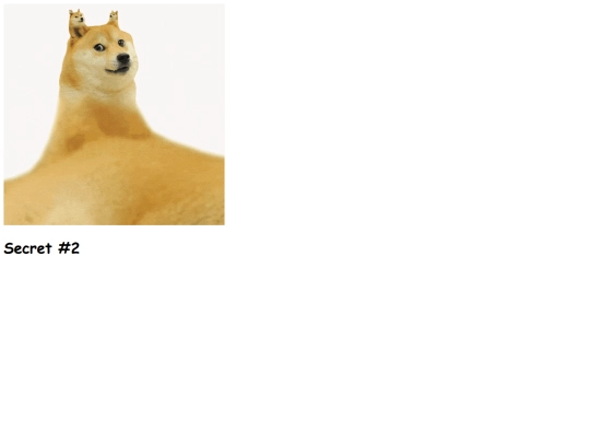 doge screenshot