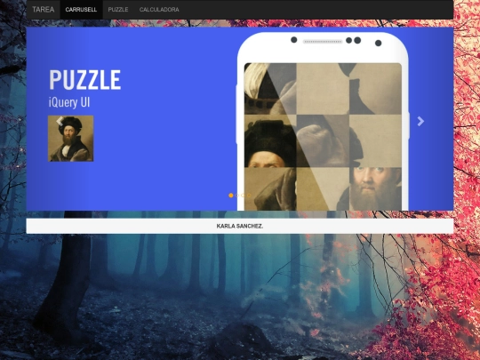 carrusell screenshot