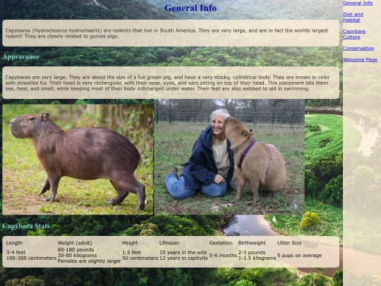 general information screenshot