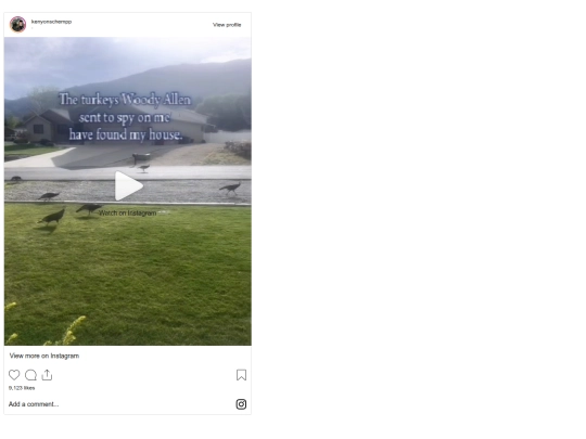 remix/reels1 screenshot