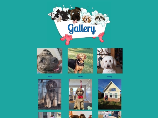 gallery screenshot