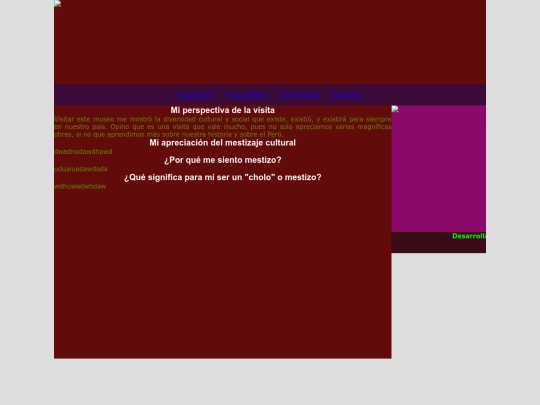 visita screenshot