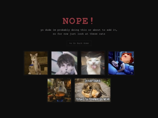 not_found screenshot