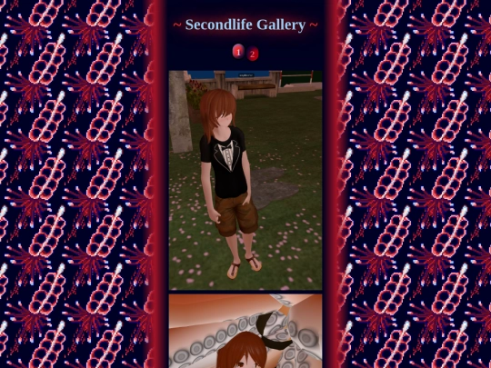 pages/gallery/secondlife/secondlife_2 screenshot