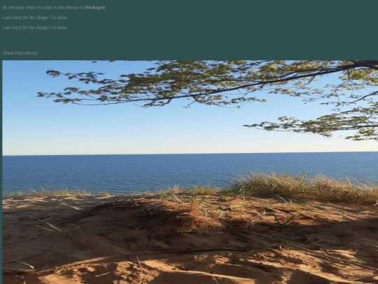 Route 231/Muskegon screenshot