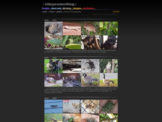 extras/animal_photos screenshot
