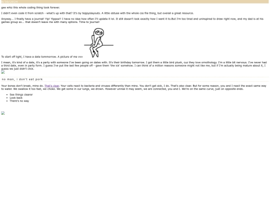 diary screenshot