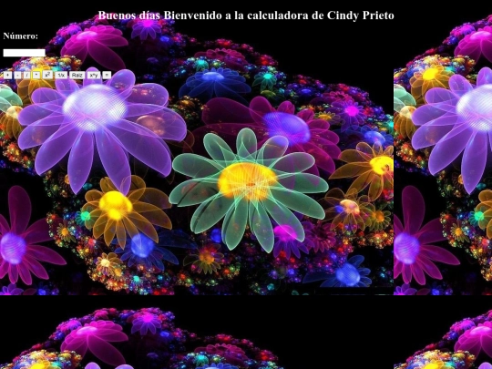 Modulo 4 screenshot