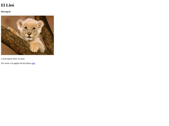 animal/leon/morfologialeon screenshot