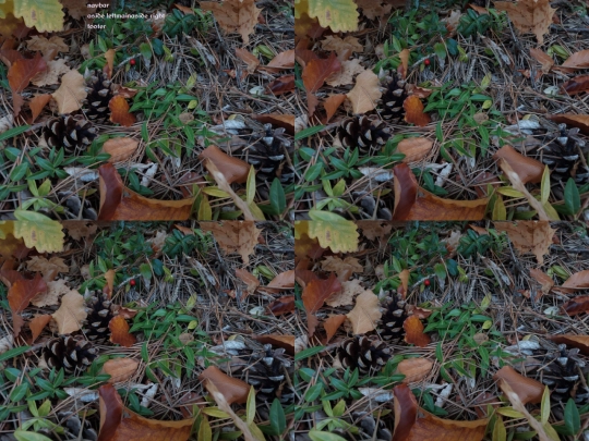 Tinkerbell/TinkerBellFairyMode screenshot