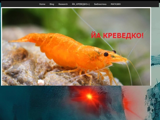 IamAshrimp screenshot