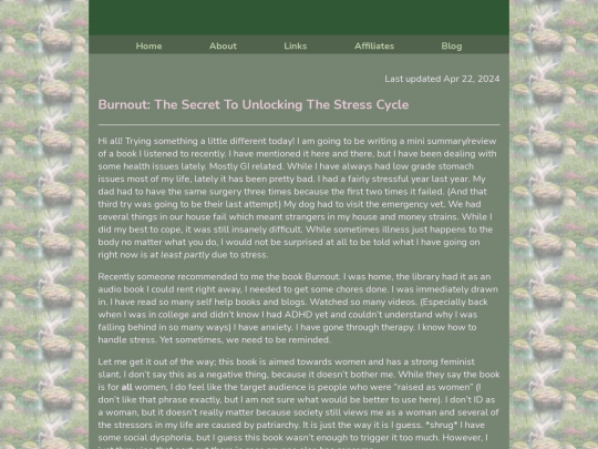 Blog/burnout screenshot