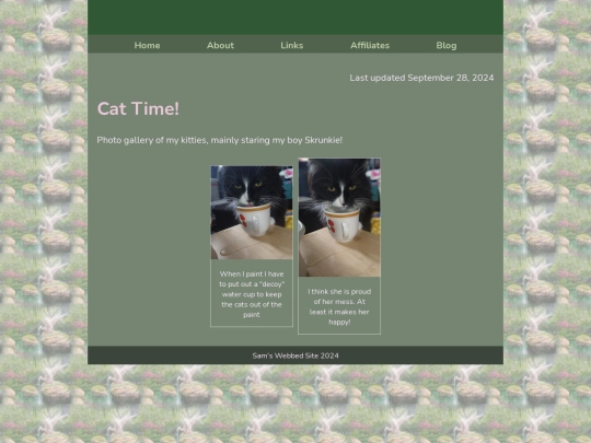 Blog/cattime screenshot