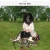 Red's Neocity Homepage avatar