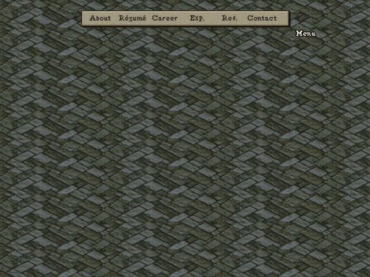 portfolio screenshot