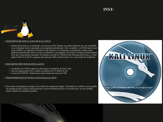PLINUX screenshot