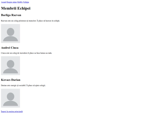 Echipa screenshot