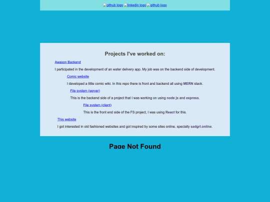projects screenshot