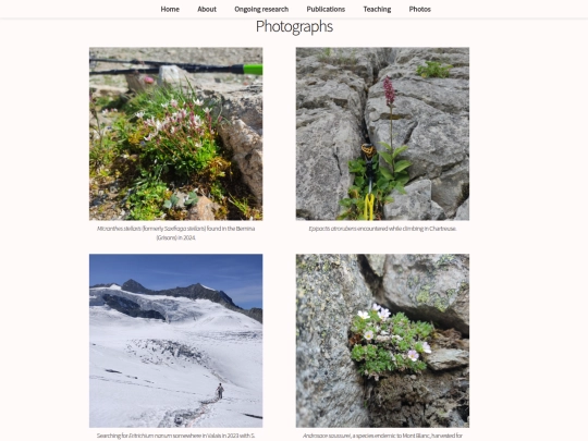 3-photos screenshot