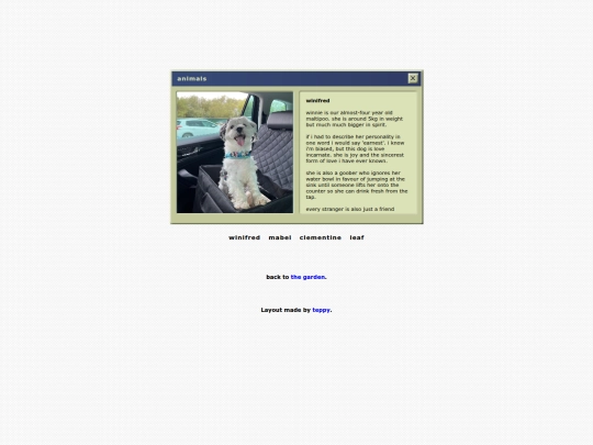 animals screenshot