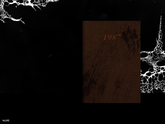 zine screenshot