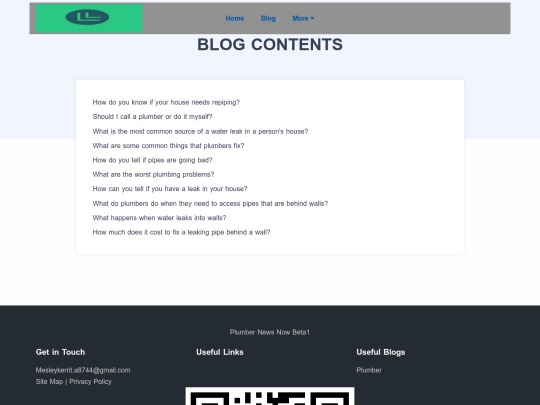 blog screenshot