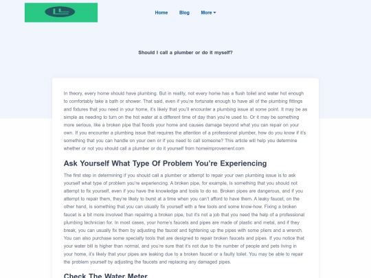 blog/should-i-call-a-plumber-or-do-it-myself screenshot