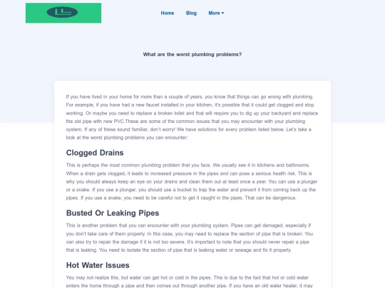 blog/what-are-the-worst-plumbing-problems screenshot