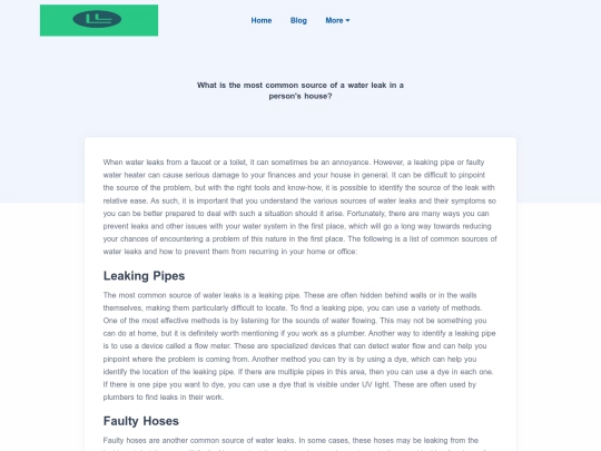 blog/what-is-the-most-common-source-of-a-water-leak-in-a-persons-house screenshot