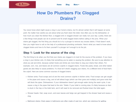 how-do-plumbers-fix-clogged-drains screenshot