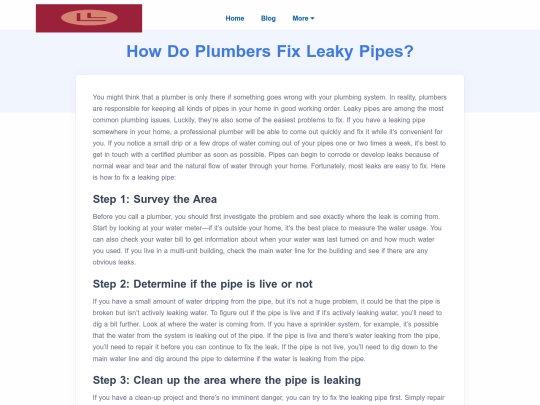 how-do-plumbers-fix-leaky-pipes screenshot
