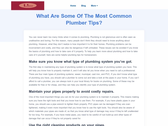 what-are-some-of-the-most-common-plumber-tips screenshot