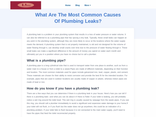 what-are-the-most-common-causes-of-plumbing-leaks screenshot