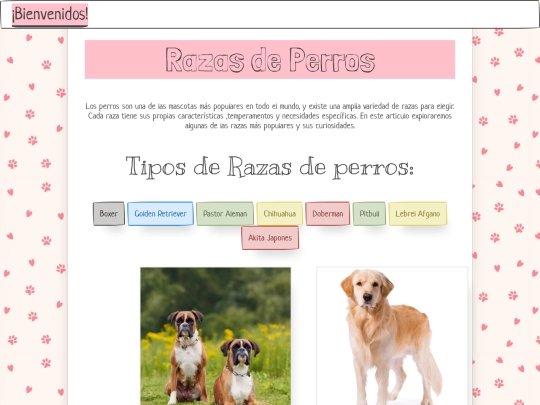 paper screenshot