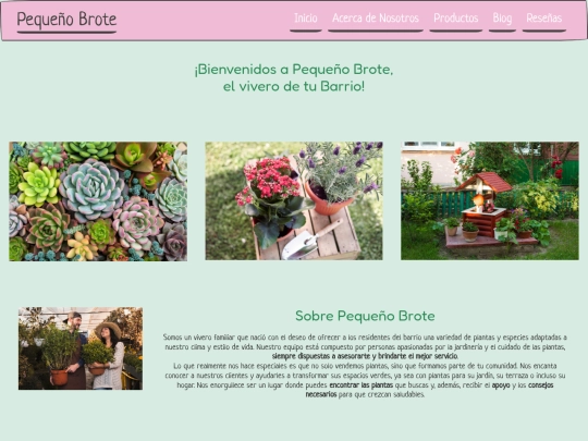 trabajofinal. screenshot