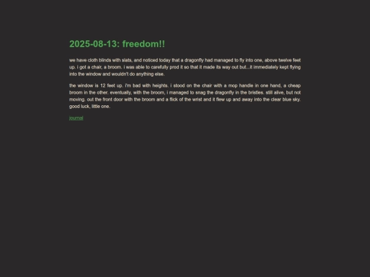 days/2025-08-13 screenshot