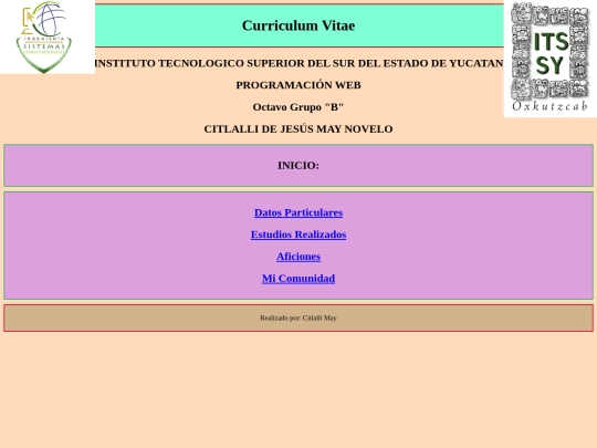 Actividad 3.1/Curriculum screenshot