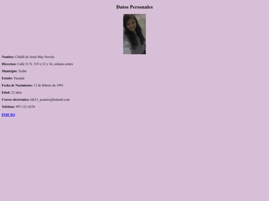 datosparticulares screenshot