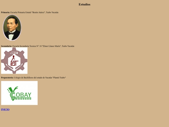 estudiosrealizados screenshot