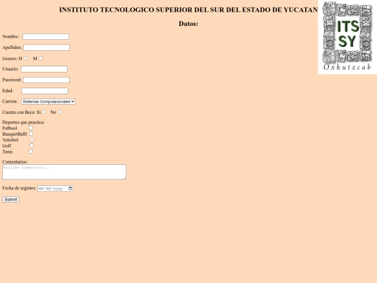 formulario screenshot