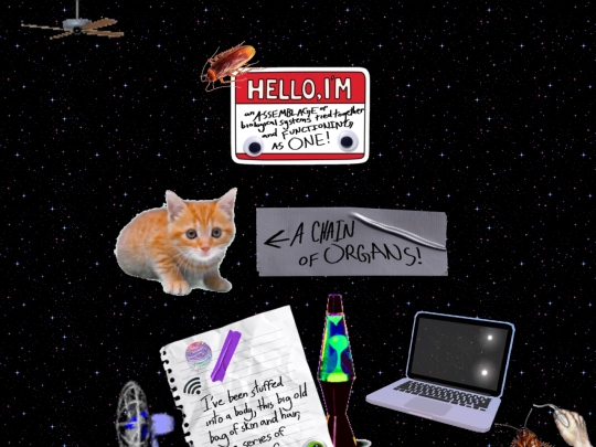memoir/seeyourself3 screenshot