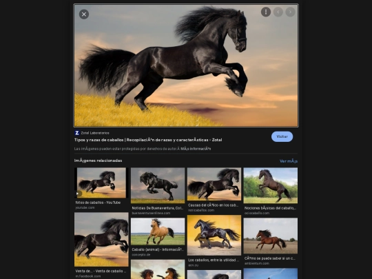 imagenes.jpg/caballo screenshot
