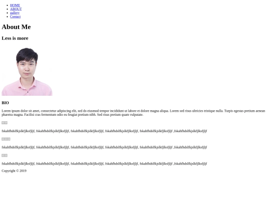 Portfolio/about screenshot