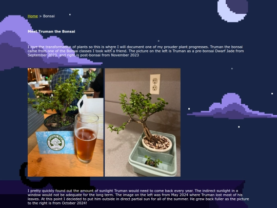 html/bonsai screenshot