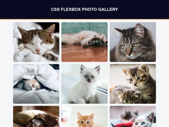 learning-projects/Flexbox-Photo-Gallery screenshot