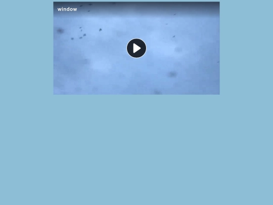 dødetræer screenshot