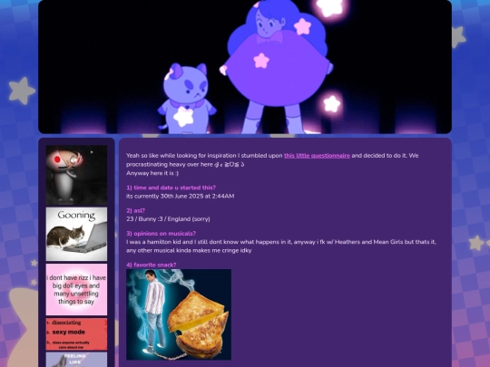 questionnaire screenshot