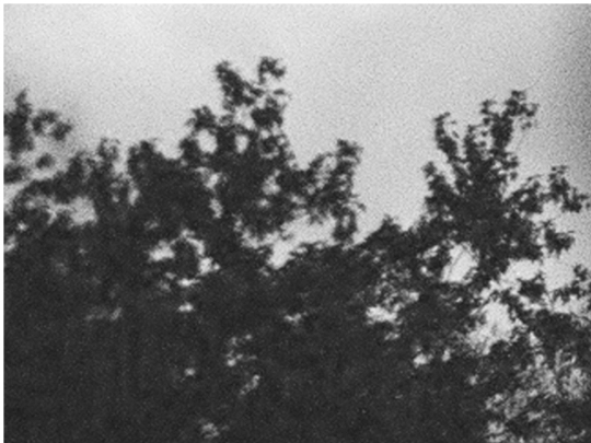 header screenshot