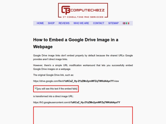 how-to-embed-google-drive-image screenshot