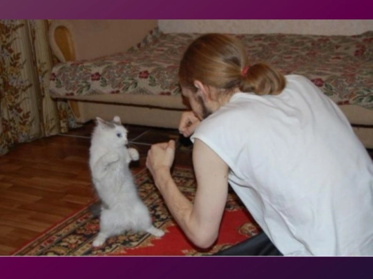 cat screenshot
